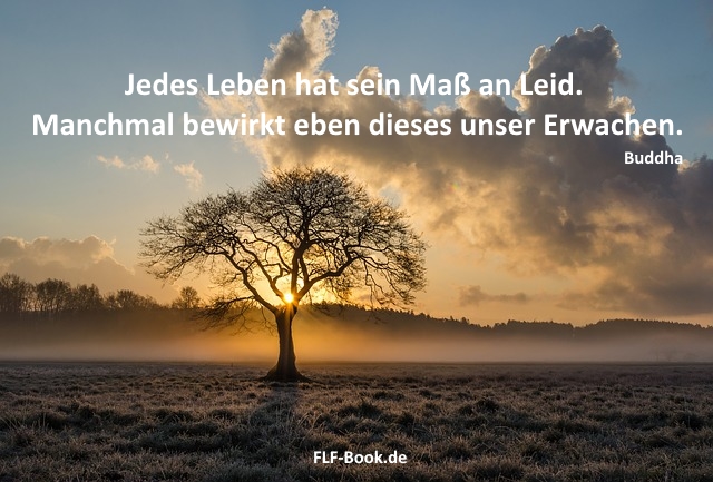 Get Ebendieses Desktop Wallpaper Free