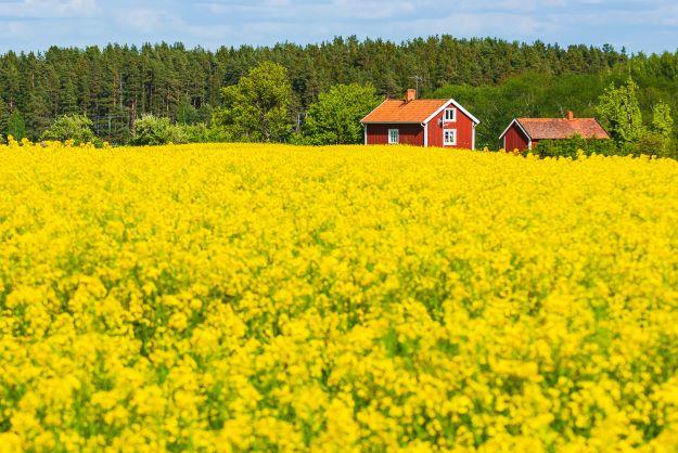 Wo in Schweden ist es am schönsten